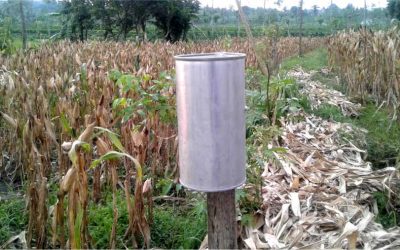 Petani Desa Rensing Bat Membuat Alat Ukur Curah Hujan Sederhana