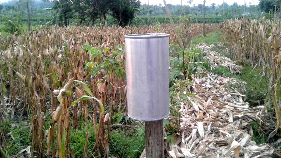 Petani Desa Rensing Bat Membuat Alat Ukur Curah Hujan Sederhana