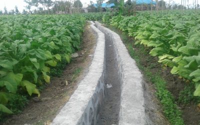 Empat Tahun DD Langsung dari Pusat, Pemdes Rensing Bat Bangun Ribuan Meter Talud Saluran Irigasi