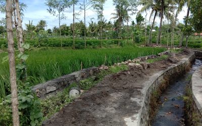 Pembangunan Jalan Usaha Tani Untuk Mensejahterakan Masyarakat Petani