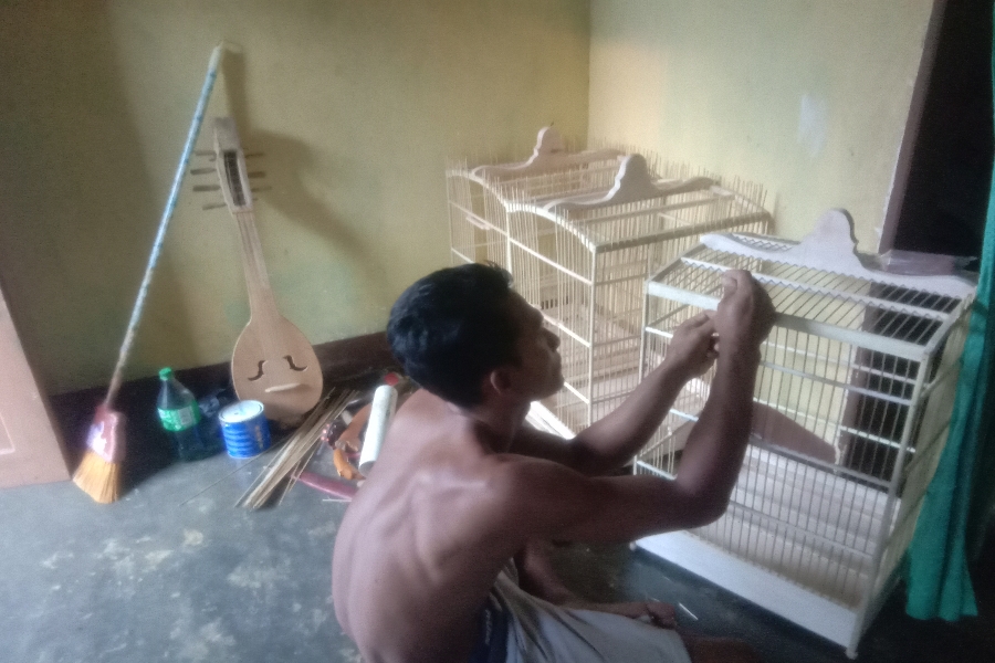 Sangkar Burung Kayu Bekas, Kreatifitas Pemuda Desa di Masa Pandemi