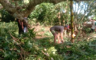 Pagar Batas Pemakaman Rensing Bat Akan Dibangun, Masyarakat Gotong-Royong Bersihkan Lokasi