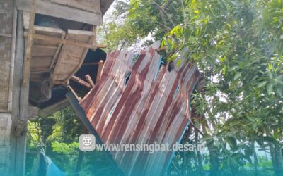 Cuaca Ekstrem, Atap Rumah di Dusun Lepok Terbang & Pohon Tumbang